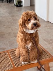 -WAVE SODA摄影工作室