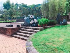 -石排湾郊野公园