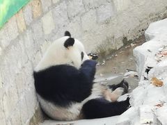 -上海野生动物园