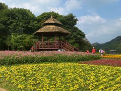 -广州市石门国家森林公园