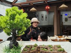 -少林寺欢喜地素斋馆