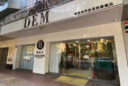-DEM缔怡美科技美容