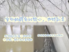 -中国扬子鳄村