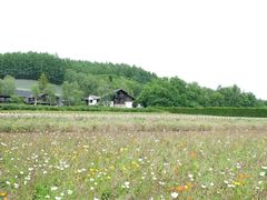 -富田农场