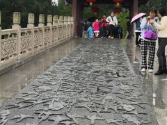 -东湖落雁景区