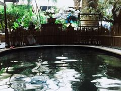 -顺景温泉
