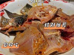 -费明中罗非鱼(大石坝店)