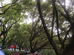 -桂林两江四湖景区