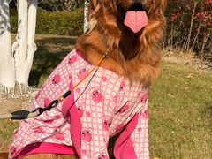 -杭州城北体育公园