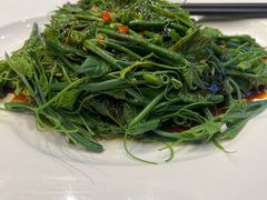 南瓜芽-马仕玖煲·融合菜·酥不腻烤鸭(人大店)