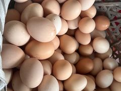 -马陆小张葡萄园农家乐