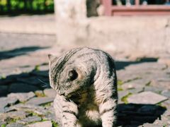 -无锡惠山寺
