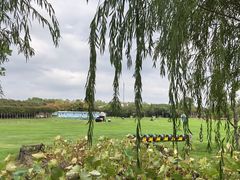 -武汉紫薇都市田园