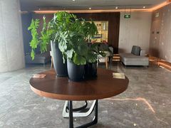 -桃花源中餐厅(金茂豪华精选酒店)