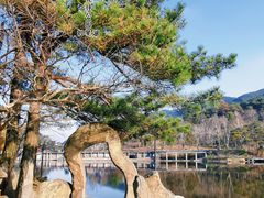 -庐山风景区花径公园