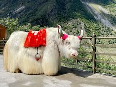 -叠溪松坪沟景区