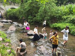 -重庆彩云湖湿地公园