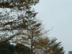 -光明小镇欢乐田园