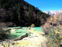 -黄龙山原始森林景区