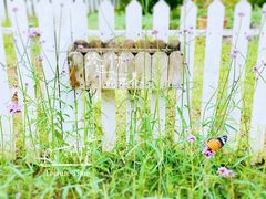 -北京国际鲜花港