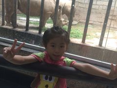 -辛玛王国游乐园