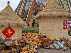 -中国天府农业博览园