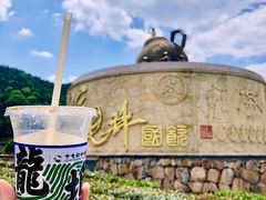 -龙坞茶村