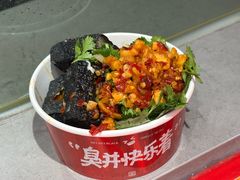 -黑色经典臭豆腐·湖南特产(坡子街店)