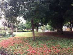 河泥荡公园-河泥荡文化公园