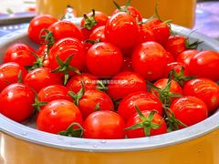 -龍歌自助小火锅(城阳万象汇店)