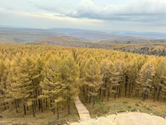 -塞罕坝国家级自然保护区