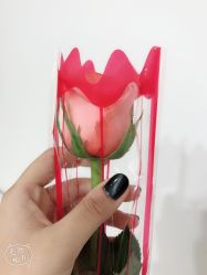 猫眼-猫小姐头道汤