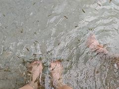 -碧水湾温泉