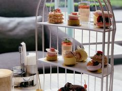 -苏州希尔顿酒店·园大堂吧