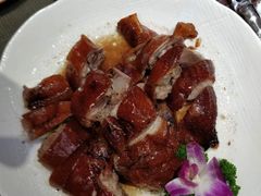 -食德乐·全鸽宴顺德菜(南湖店)