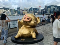 -星光大道