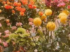-卓花境Flowerwonderland花店