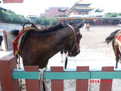 明清宫苑后三宫景区-横店影视城明清宫苑园区