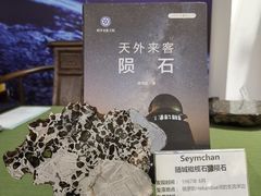 -志强陨石馆(双季花艺店)