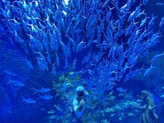 -波塞冬旅游度假区