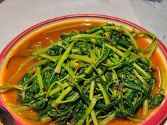 -红辣椒·川菜·火锅(朝外店)