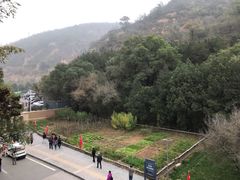 -延安杨家岭革命旧址