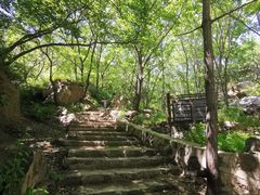 -大岭沟猕猴桃谷风景区