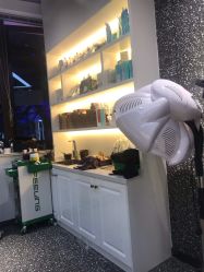 -丝语萱形象