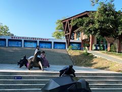 -广东惠东海龟国家级自然保护区