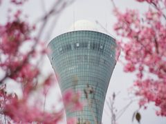 -狐尾山公园