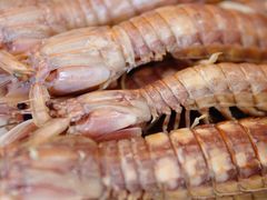 虾姑-海坛特色小吃·只做平潭特色菜(平潭店)