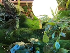 -宏宴·新京菜(望京店)