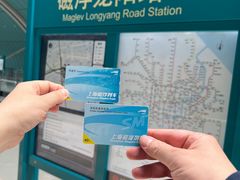 -龙阳路磁悬浮列车总站-停车场