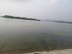 -丁香湖公园